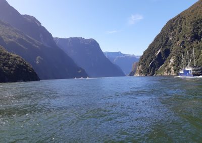Boats in Milford Sound